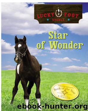 Star of Wonder by JoAnn S. Dawson
