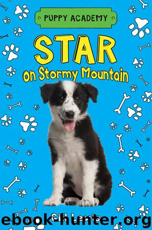 Star on Stormy Mountain by Gill Lewis