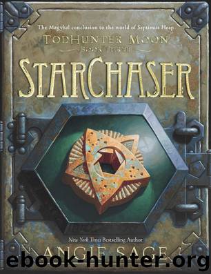 StarChaser by Angie Sage