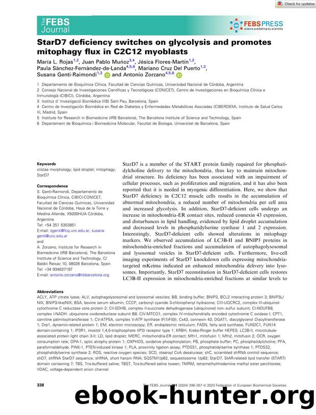 StarD7 deficiency switches on glycolysis and promotes mitophagy flux in C2C12 myoblasts by Unknown