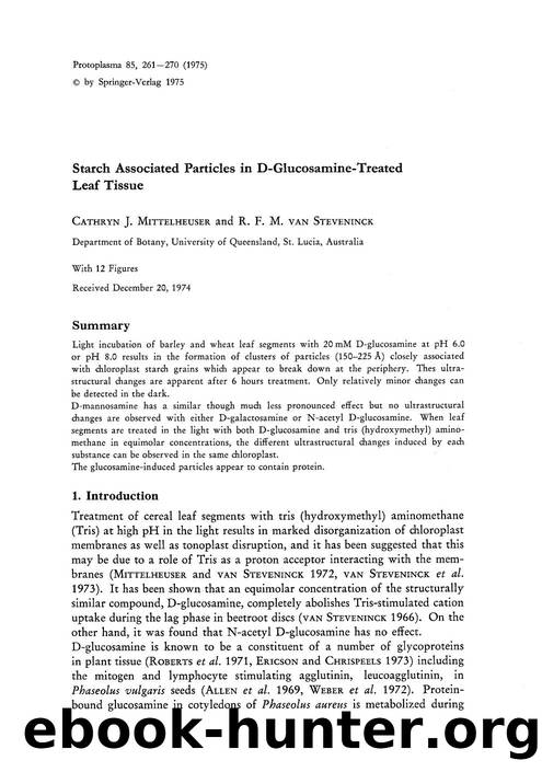 Starch associated particles in D-glucosamine-treated leaf tissue by Unknown