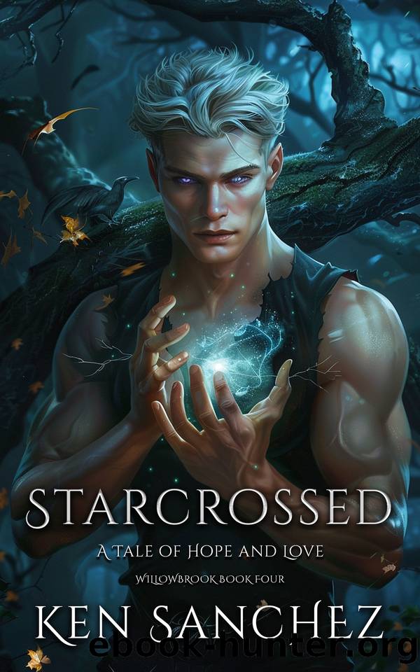Starcrossed (Willowbrook Book Four): A Tale of Hope and Love - A Gay MM Fantasy Romance Novel by Ken Sanchez