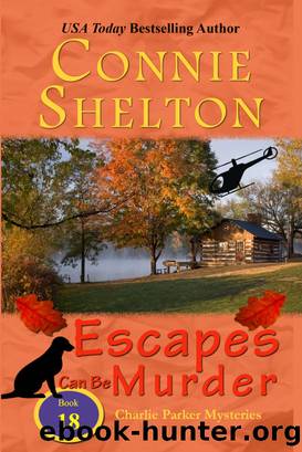 Stardom Can Be Murder_A Girl and Her Dog Cozy Mystery by Connie Shelton