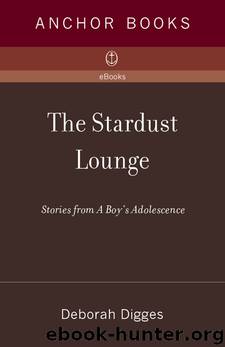 Stardust Lounge: Stories From a Boy's Adolescence by Digges Deborah