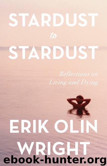 Stardust to Stardust by Erik Olin Wright