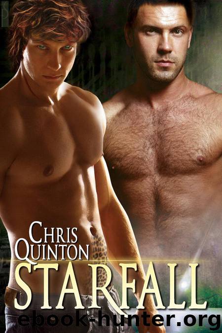 Starfall by Chris Quinton