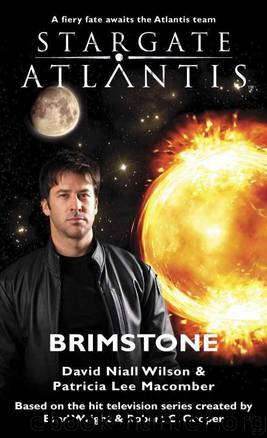 Stargate Atlantis 15 - Brimstone by David Niall Wilson & Patricia Lee Macomber