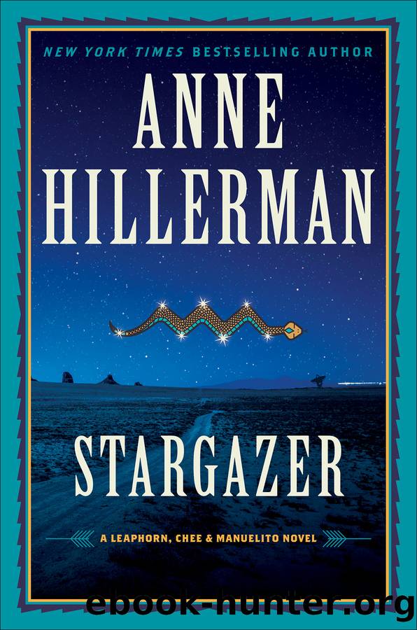 Stargazer by Anne Hillerman