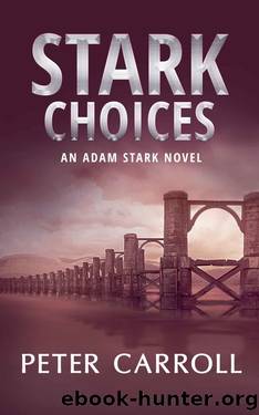 Stark Choices (An Adam Stark Novel Book 2) by Peter Carroll