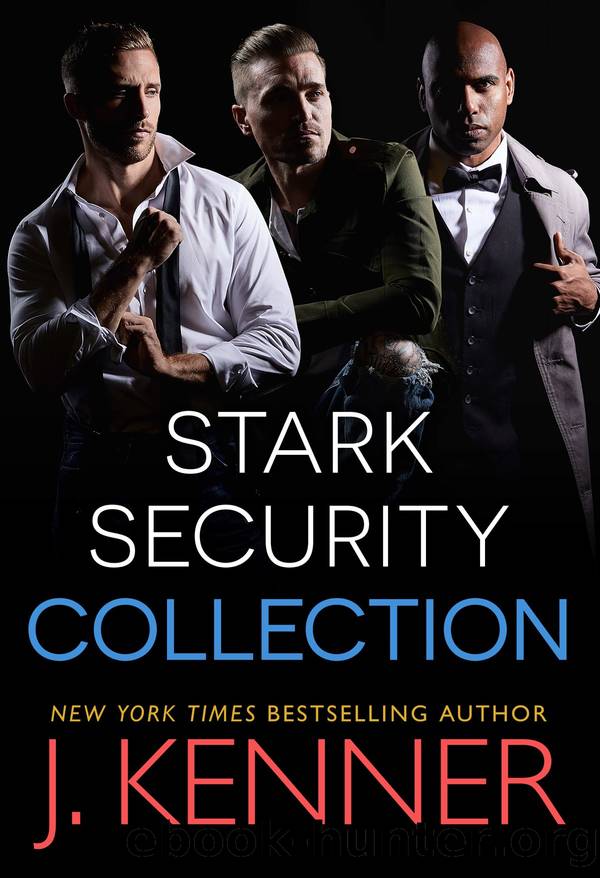Stark Security by J. Kenner