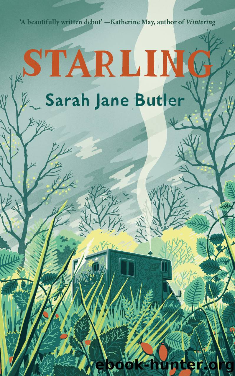 Starling by Sarah Jane Butler