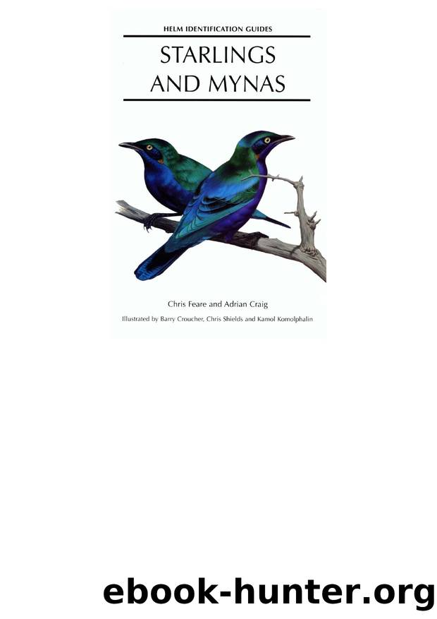 Starlings and Mynas by unknow