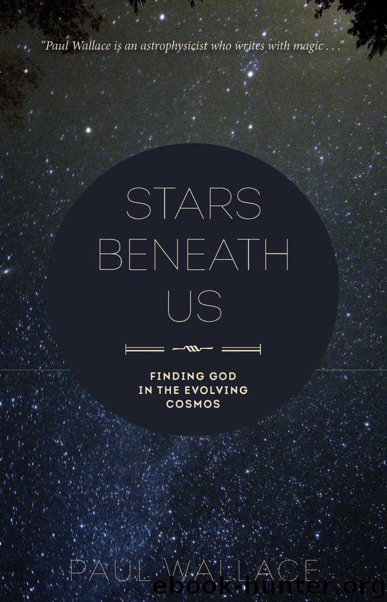 Stars Beneath Us by Paul Wallace