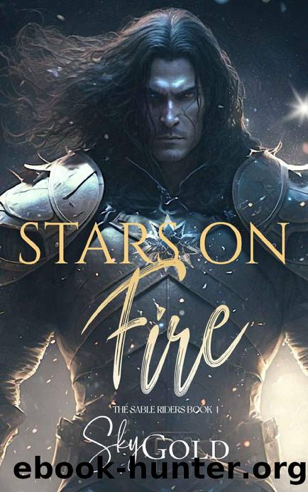 Stars on Fire: A Spectacular Starlit Romance (The Sable Riders Book 1) by Sky Gold