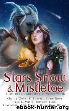 Stars, Snow and Mistletoe: A Holiday Naughty List Collection by unknow