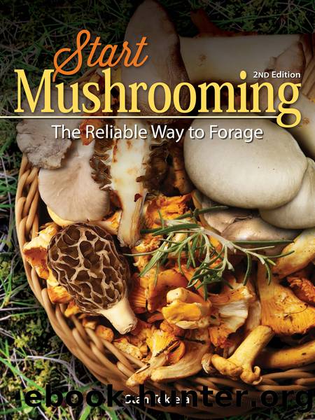 Start Mushrooming by Tekiela Stan;