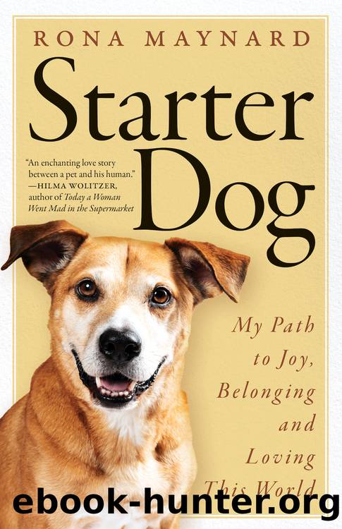 Starter Dog by Rona Maynard