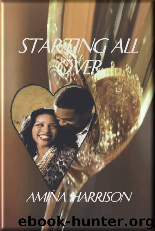 Starting All Over by Amina Harrison