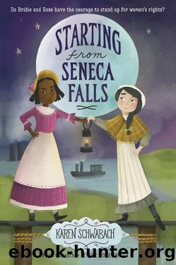 Starting From Seneca Falls by Karen Schwabach