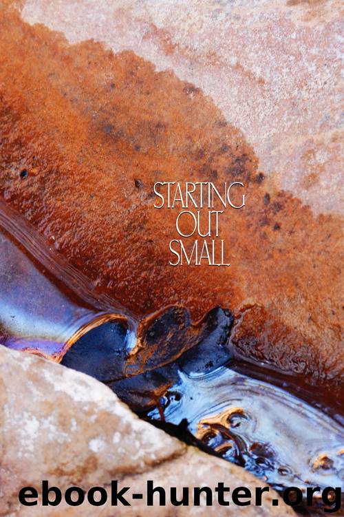 Starting Out Small: A Collection of Talks for Beginning Meditators by Phra Ajaan Lee Dhammadharo