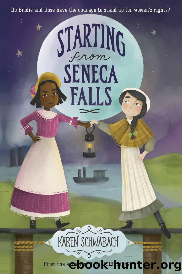 Starting from Seneca Falls by Karen Schwabach