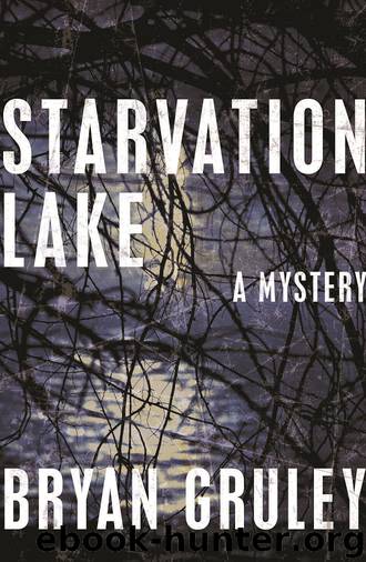 Starvation Lake - Book 1 by Bryan Gruley