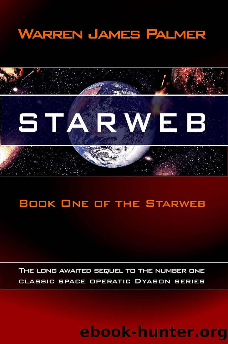Starweb by Warren James Palmer