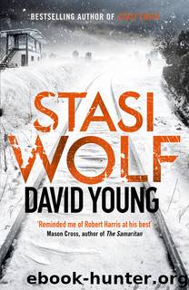 Stasi Wolf by David Young