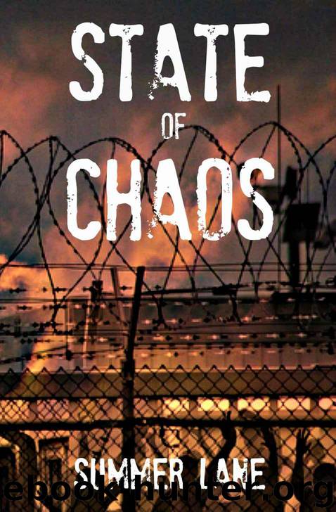 State of Chaos (Collapse Series) by Lane Summer