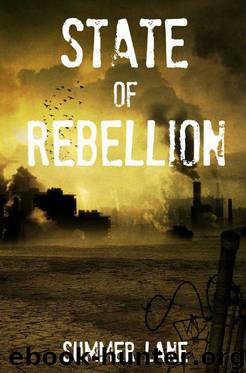 State of Rebellion (Collapse Series) by Lane Summer