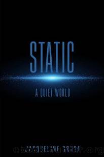 Static: A Quiet World by Druga Jacqueline