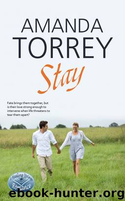 Stay (Healing Springs, Book 2) by Amanda Torrey
