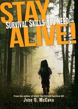 Stay Alive! by McCann John D