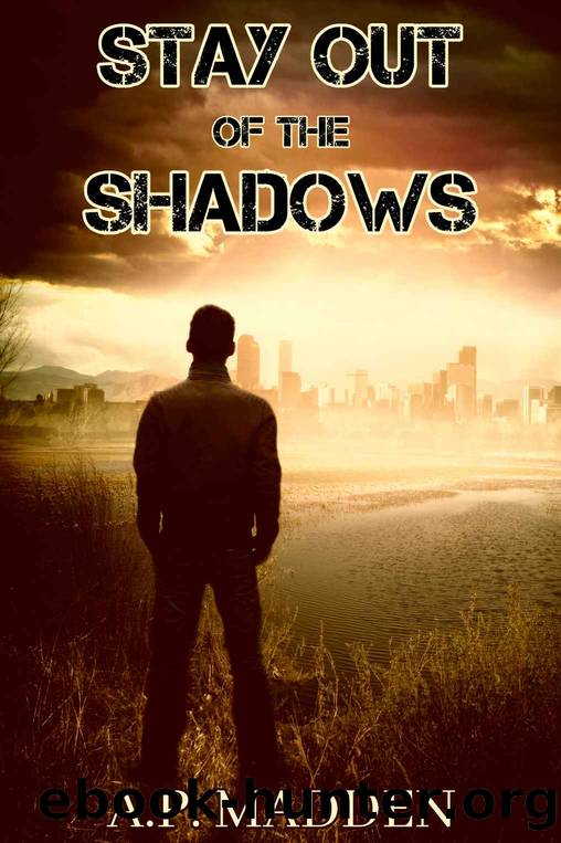 Stay Out of the Shadows: A Post-Apocalyptic Survival Thriller by A.P. Madden