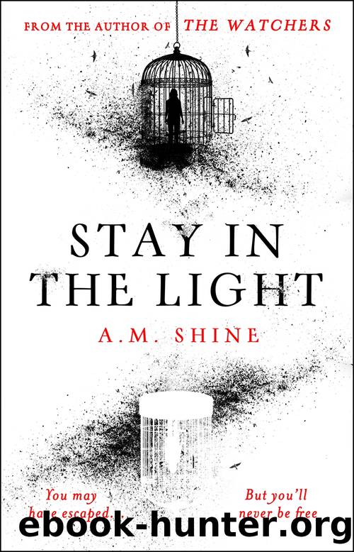 Stay in the Light: The Chilling Sequel to the Watchers, Now a Major Motion Picture by A. M. Shine