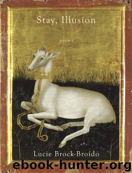 Stay, Illusion by Lucie Brock-Broido