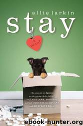 Stay: A Novel by Allie Larkin