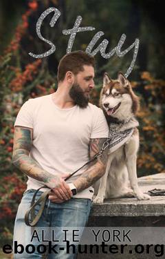 Stay: A Shores Novella (The Shores Book 2) by Allie York