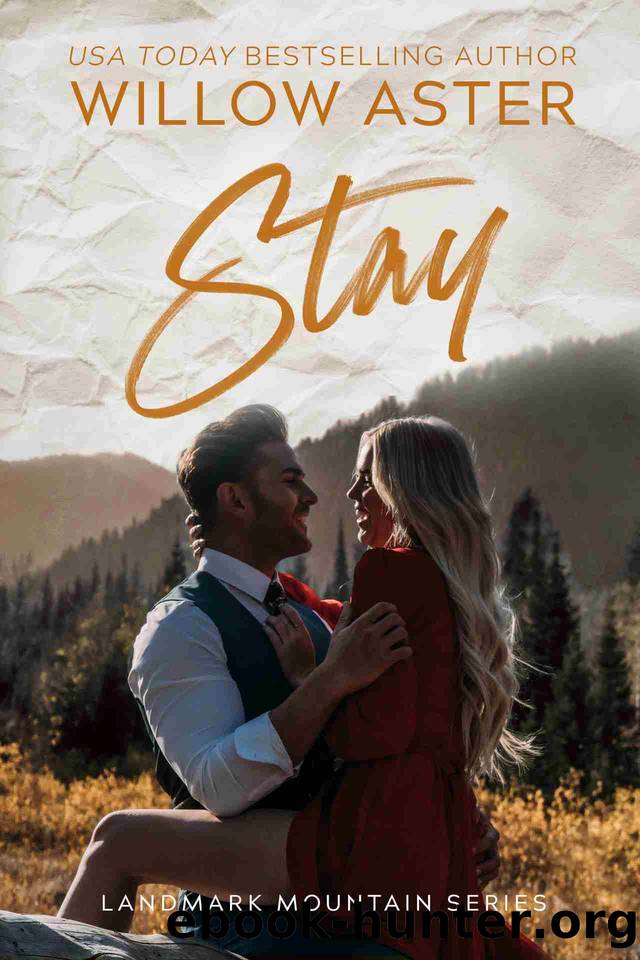 Stay: A Small Town Age Gap, Single Dad Romance (Landmark Mountain Book 5) by Willow Aster
