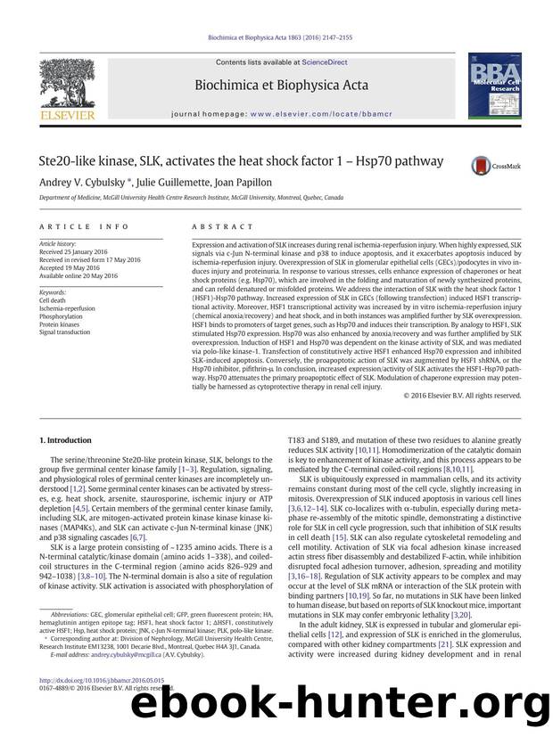 Ste20-like kinase, SLK, activates the heat shock factor 1 - Hsp70 pathway by Andrey V. Cybulsky & Julie Guillemette & Joan Papillon