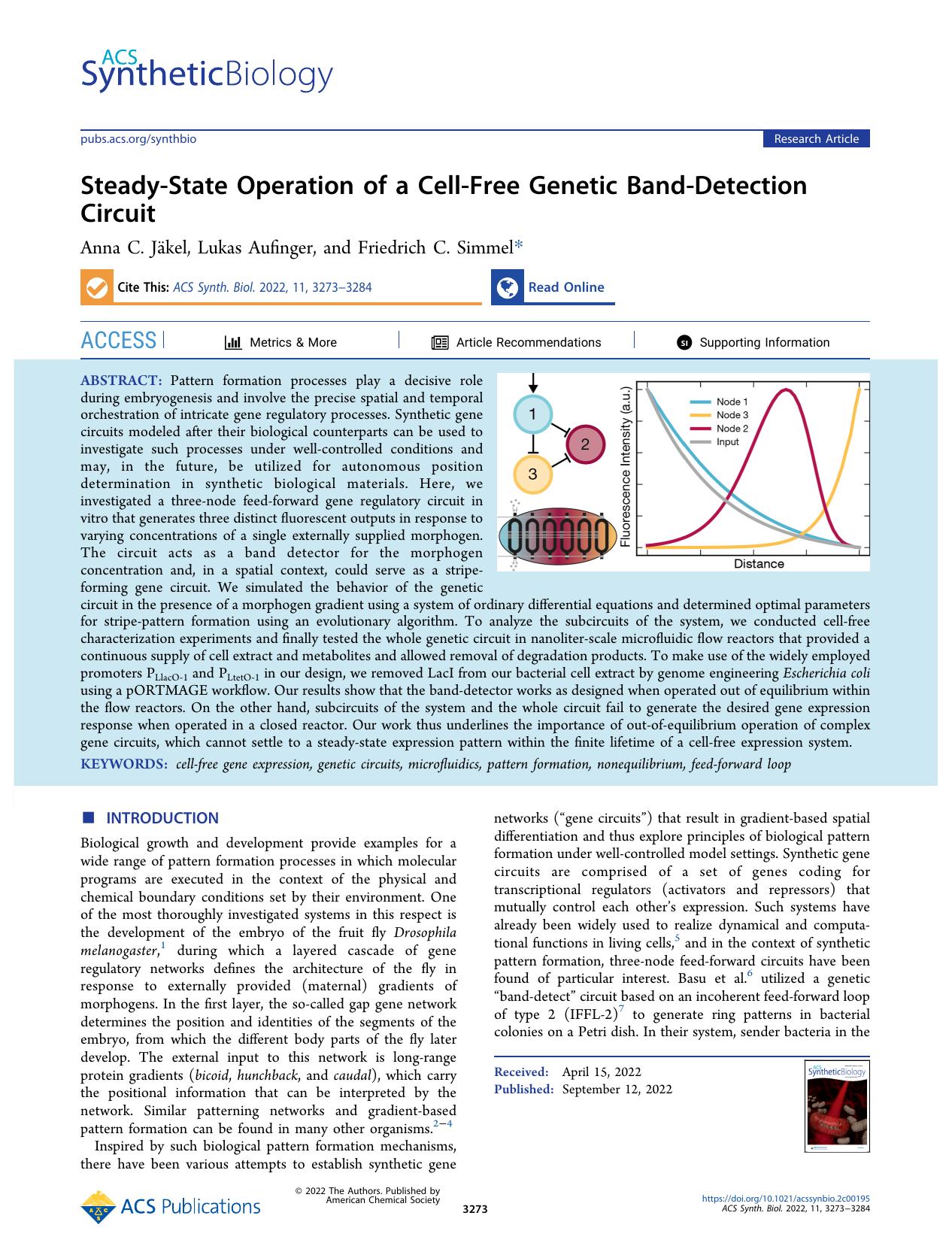Steady-State Operation of a Cell-Free Genetic Band-Detection Circuit by Anna C. Jäkel Lukas Aufinger and Friedrich C. Simmel