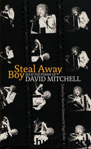 Steal Away Boy by David Mitchell