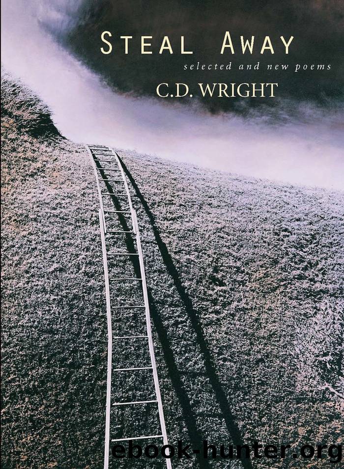 Steal Away by C D Wright