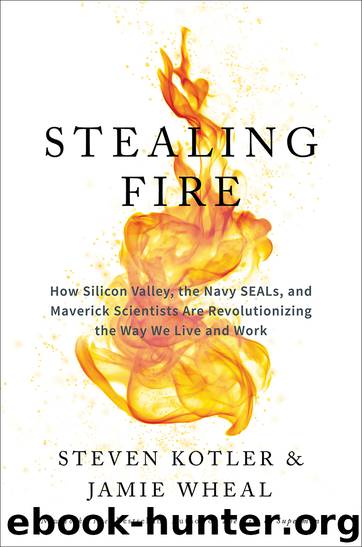 Stealing Fire by Steven Kotler