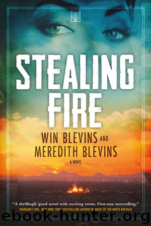 Stealing Fire by Win Blevins