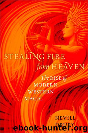 Stealing Fire from Heaven by Nevill Drury