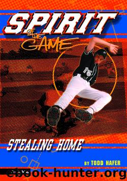 Stealing Home by Todd Hafer