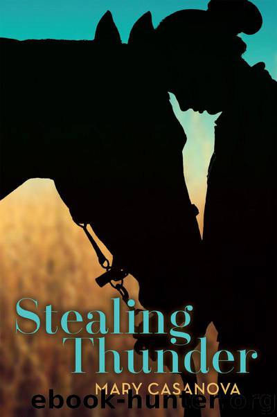 Stealing Thunder (Fesler-Lampert Minnesota Heritage) by Casanova Mary