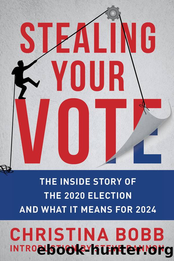 Stealing Your Vote by Christina Bobb