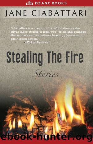 Stealing the Fire by Jane Ciabattari